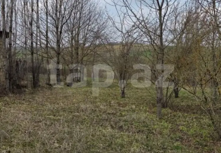 0 m² Obyekt / Ofis , Qusar