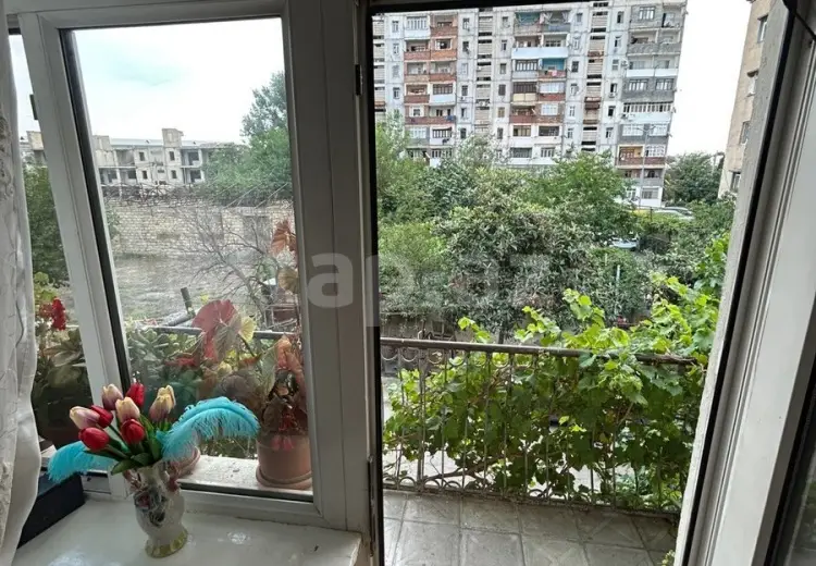 3 otaqlı mənzil , Gəncə