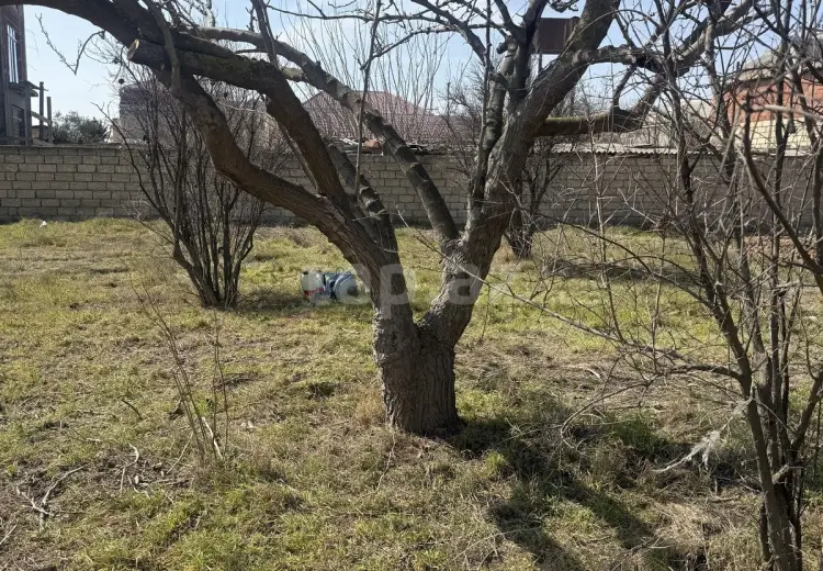 0 m² Obyekt / Ofis , Novxanı, Abşeron