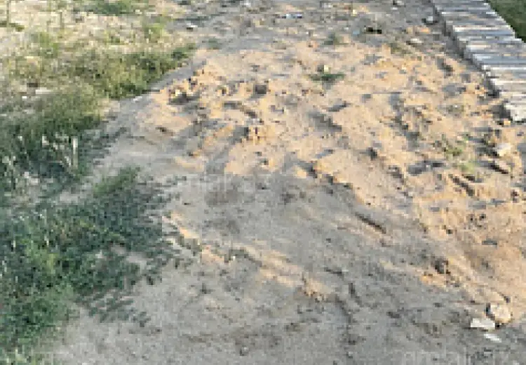 10 sot Torpaq Satılır, Saray, Abşeron