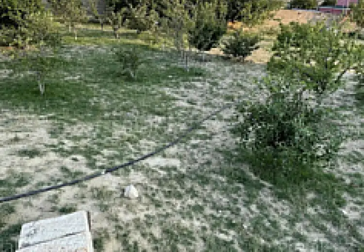 10 sot Torpaq Satılır, Saray, Abşeron