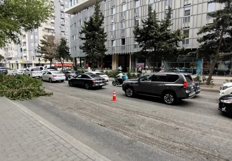 60 m² Obyekt / Ofis Kirayə (aylıq), Nəsimi, Bakı