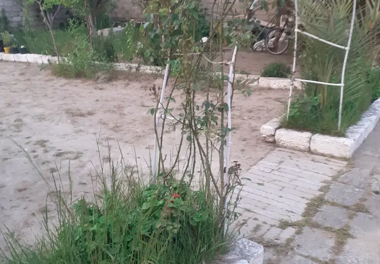 3 sot Torpaq Satılır, Şağan, Xəzər, Bakı
