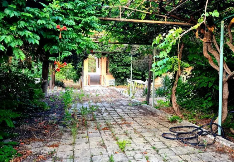 23 sot Torpaq Satılır, Bilgəh qəs., Sabunçu, Bakı