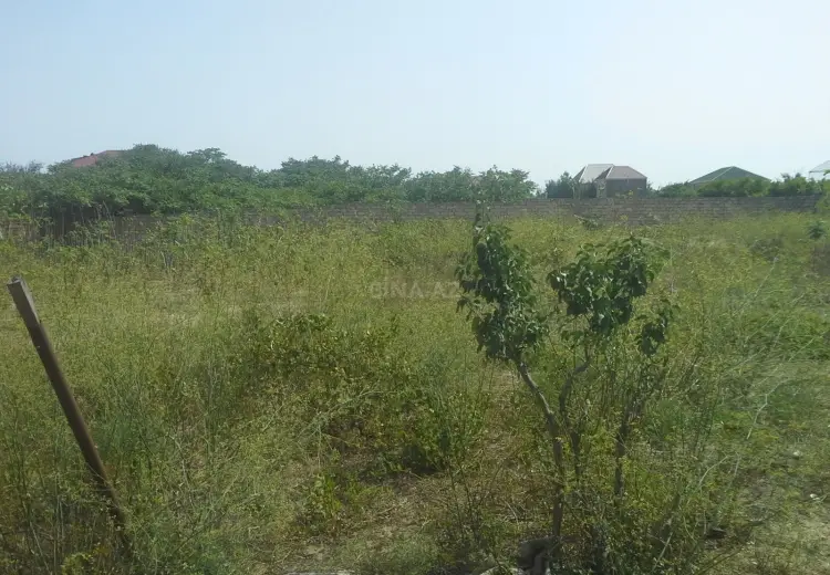 24 sot Torpaq Satılır, Bilgəh qəs., Sabunçu, Bakı