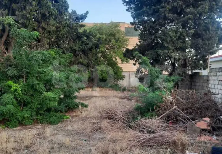 0 m² Obyekt / Ofis , Nərimanov, Bakı