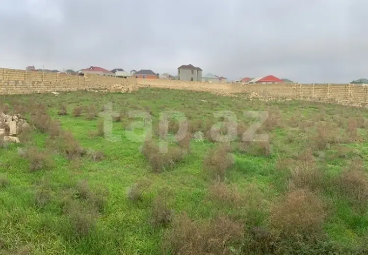 0 m² Obyekt / Ofis , Saray, Abşeron