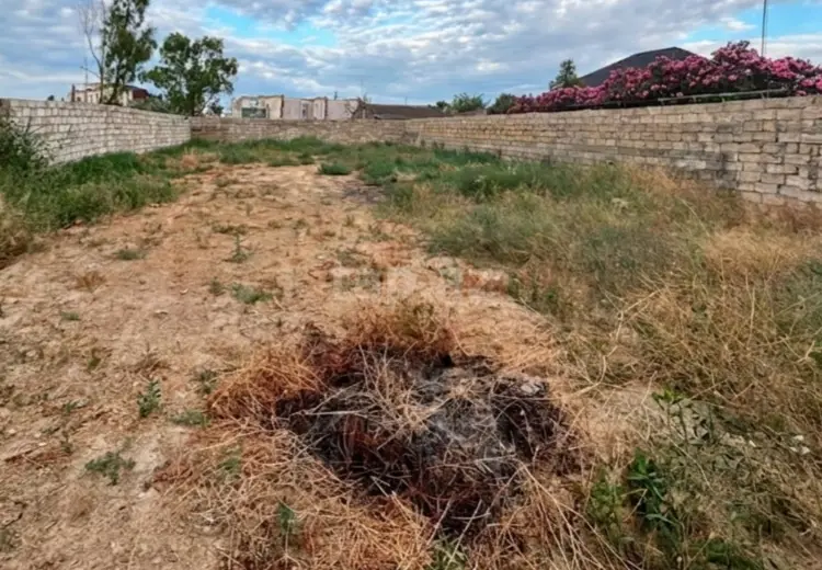 0 m² Obyekt / Ofis , Buzovna, Xəzər, Bakı