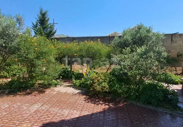 0 m² Obyekt / Ofis , Albalı qəs., Sabunçu, Bakı