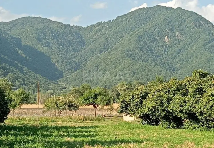 100 sot Torpaq Satılır, Qəbələ