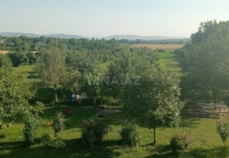 100 sot Torpaq Satılır, Qəbələ