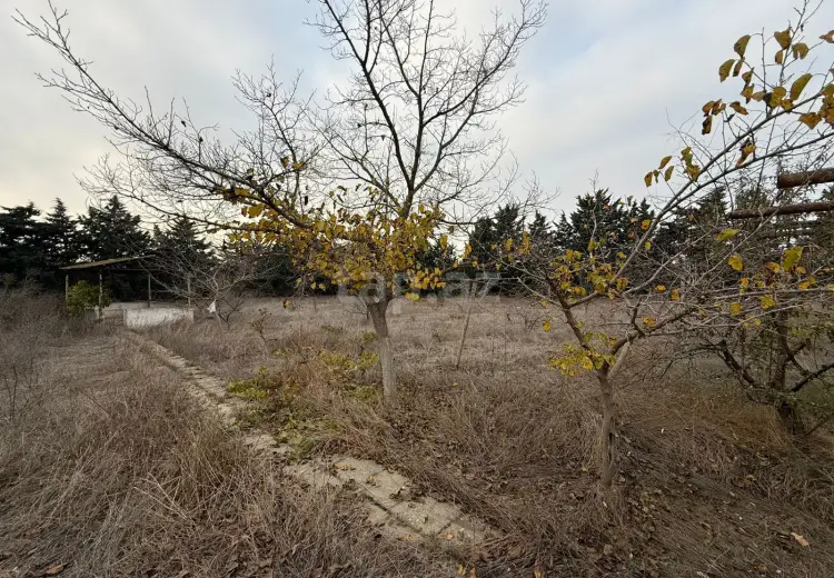 0 m² Obyekt / Ofis , Şüvəlan, Xəzər, Bakı