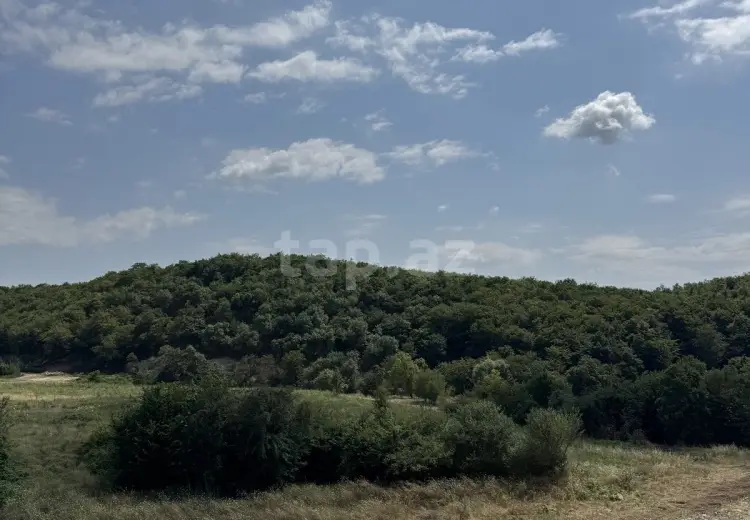 0 m² Obyekt / Ofis , İsmayıllı
