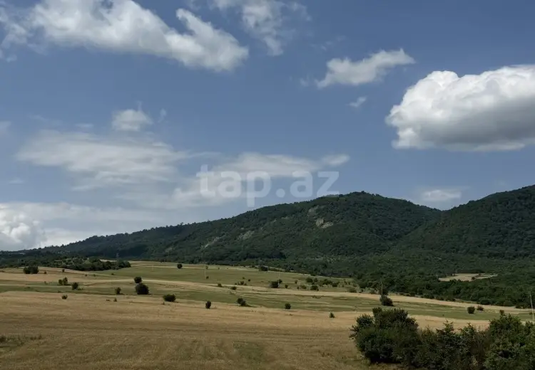 0 m² Obyekt / Ofis , İsmayıllı