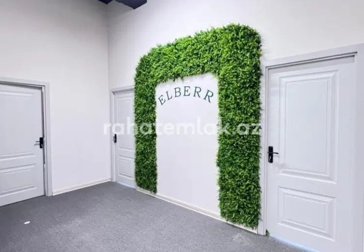 160 m² Obyekt / Ofis Kirayə (aylıq), Kubinka, Nəsimi, Bakı