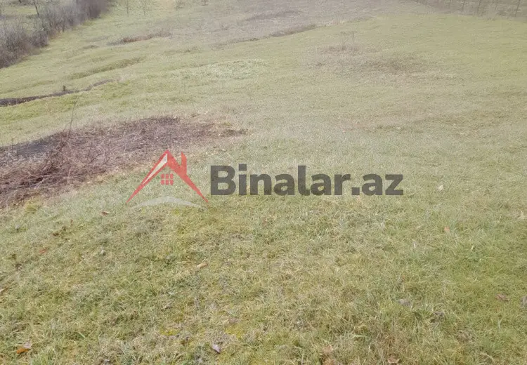 80 sot Torpaq Satılır, Quba