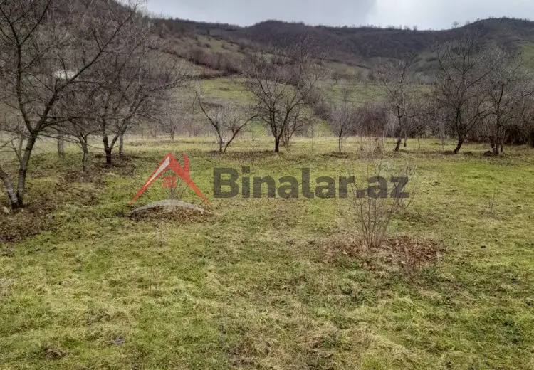 80 sot Torpaq Satılır, Quba