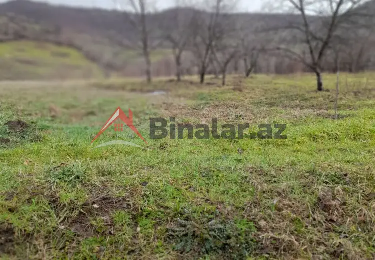 80 sot Torpaq Satılır, Quba