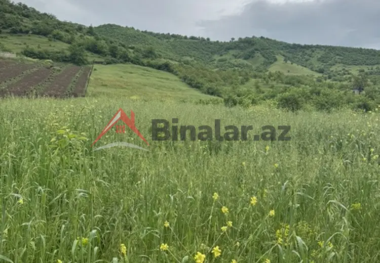 0 sot Torpaq Satılır, Quba