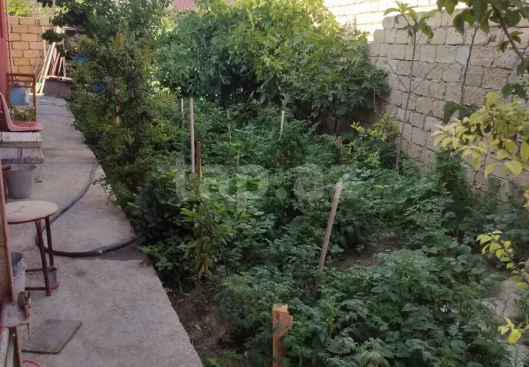 3 otaqlı mənzil , Sumqayıt