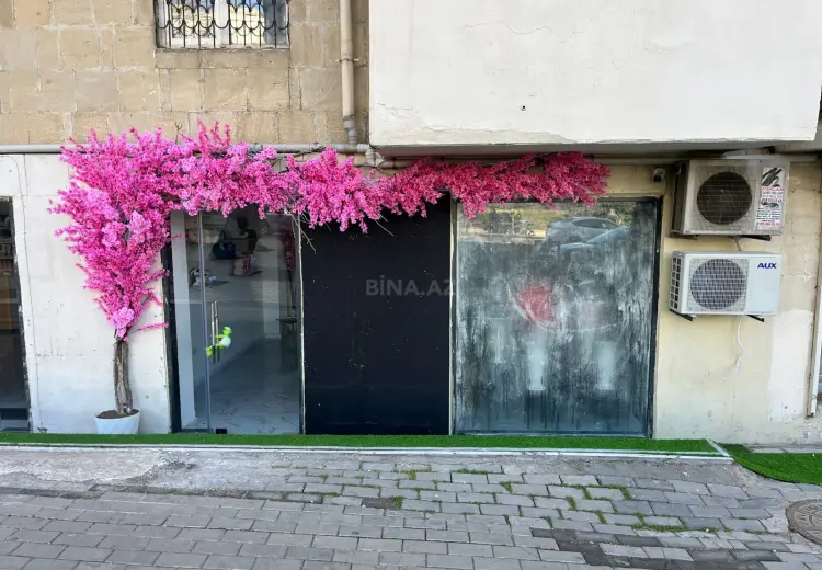 59 m² Obyekt / Ofis Kirayə (aylıq), Nəsimi, Bakı
