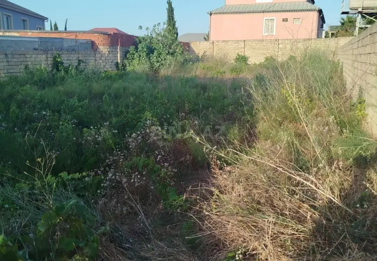 7 sot Torpaq Satılır, Novxanı, Abşeron