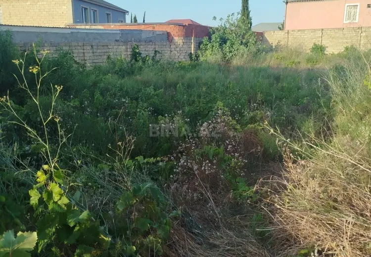 7 sot Torpaq Satılır, Novxanı, Abşeron