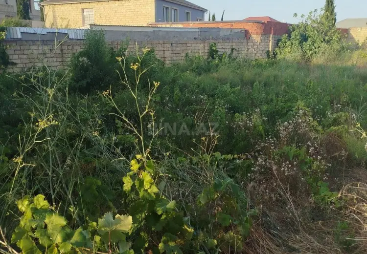 7 sot Torpaq Satılır, Novxanı, Abşeron