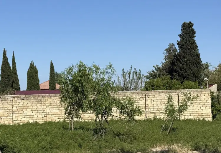 3 sot Torpaq Satılır, Novxanı, Abşeron