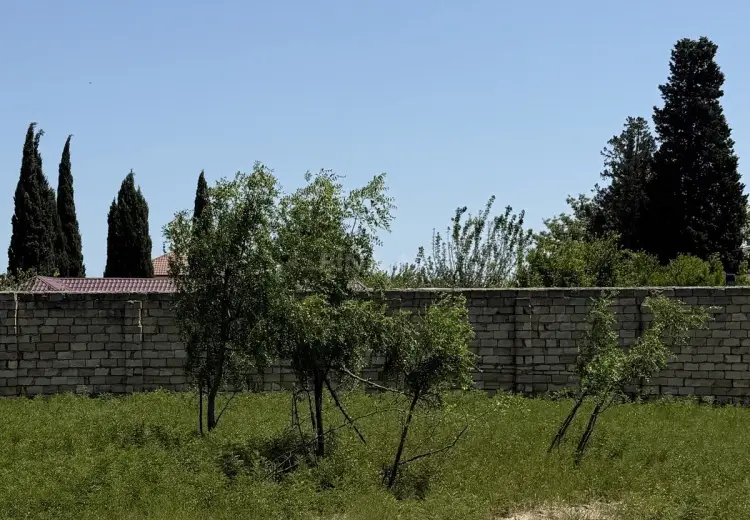10 sot Torpaq Satılır, Novxanı, Abşeron