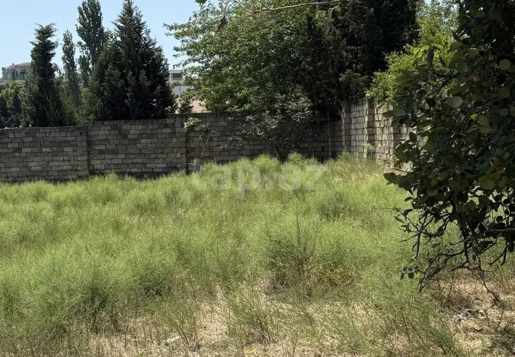 0 m² Obyekt / Ofis , Novxanı, Abşeron