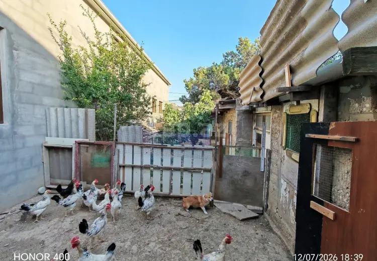 0 m² Obyekt / Ofis , Bakı