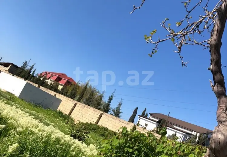 0 m² Obyekt / Ofis , Saray, Abşeron