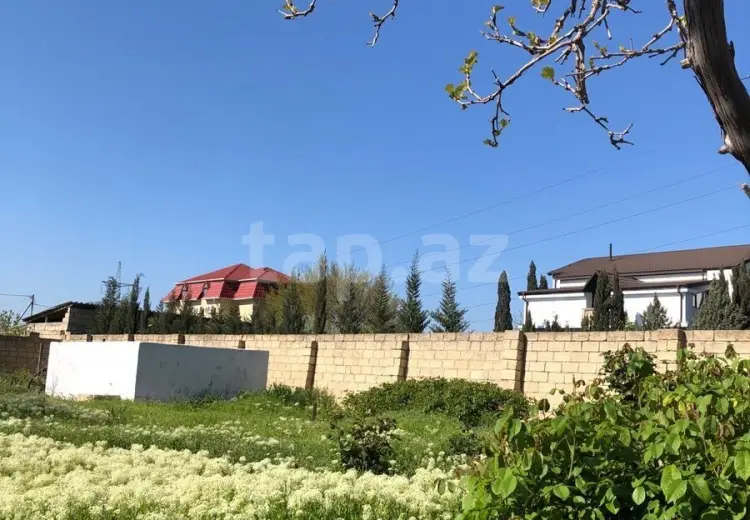 0 m² Obyekt / Ofis , Saray, Abşeron