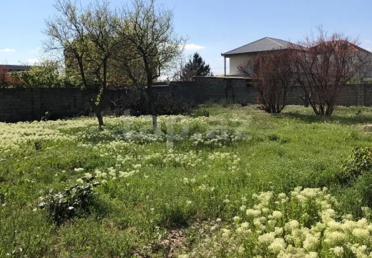 0 m² Obyekt / Ofis , Saray, Abşeron