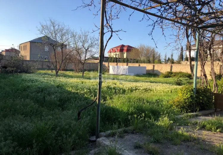 0 m² Obyekt / Ofis , Saray, Abşeron