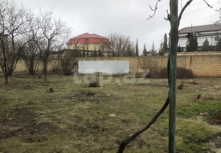 0 m² Obyekt / Ofis , Saray, Abşeron