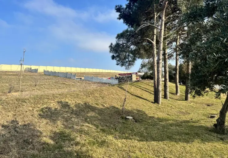46 sot Torpaq Satılır, Abşeron