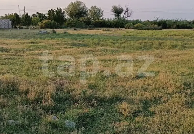 0 m² Obyekt / Ofis , Yevlax