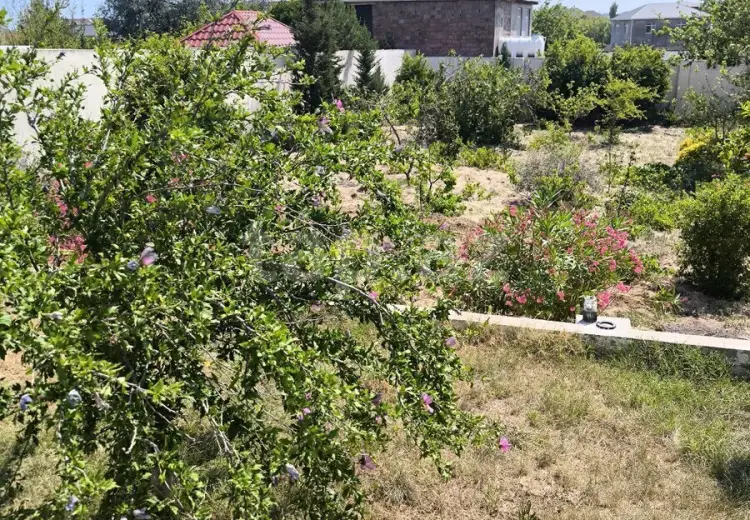 0 m² Obyekt / Ofis , Novxanı, Abşeron