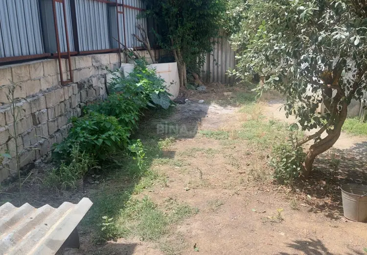 4 sot Torpaq Satılır, Masallı