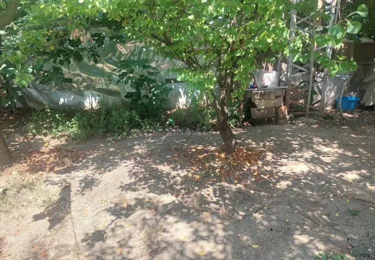 4 sot Torpaq Satılır, Masallı