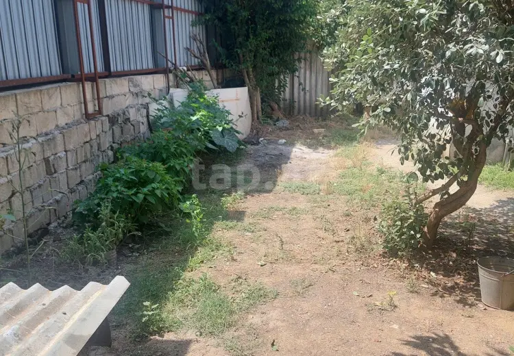 0 m² Obyekt / Ofis , Masallı