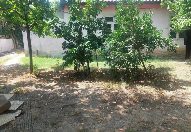 0 m² Obyekt / Ofis , Masallı