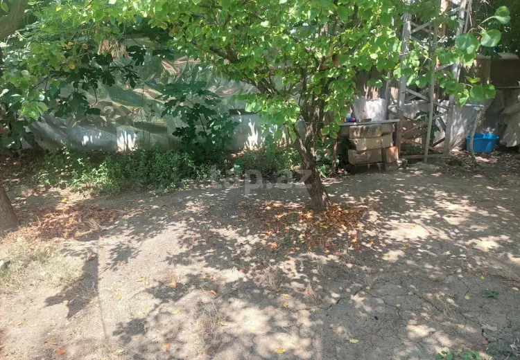 0 m² Obyekt / Ofis , Masallı