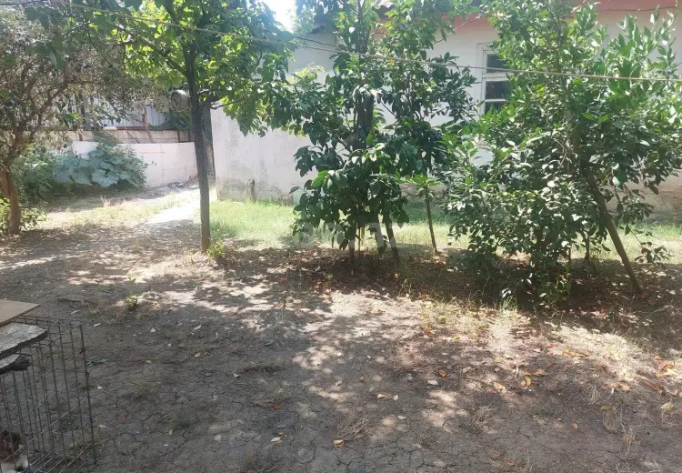 0 m² Obyekt / Ofis , Masallı