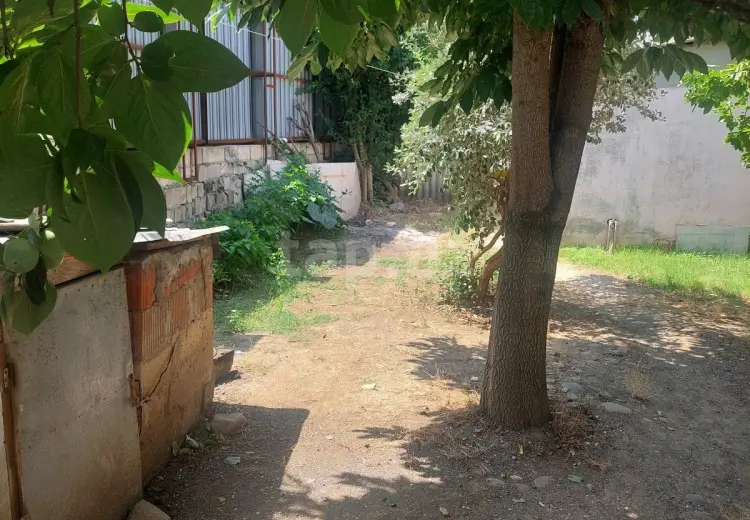0 m² Obyekt / Ofis , Masallı