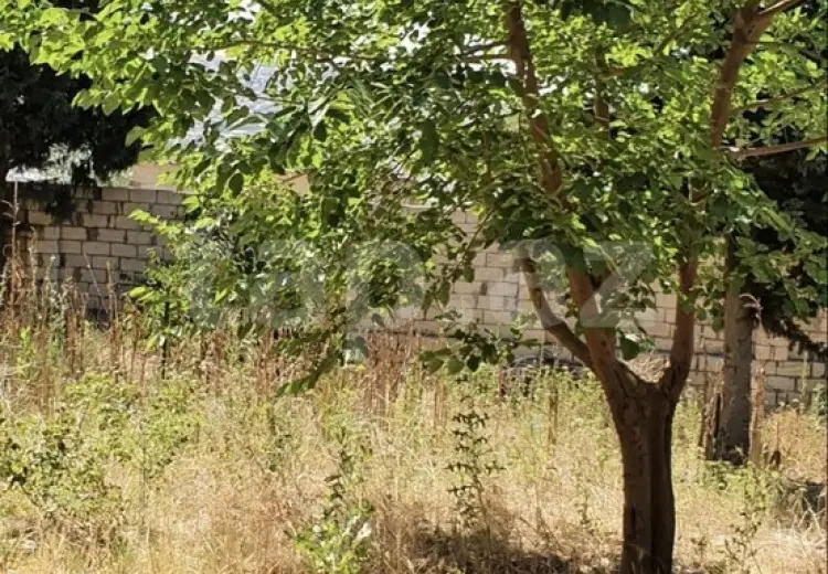 0 m² Obyekt / Ofis , Biləcəri qəs., Binəqədi, Bakı