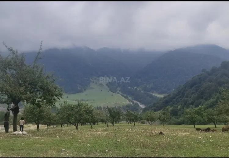 4 sot Torpaq Satılır, Qəbələ