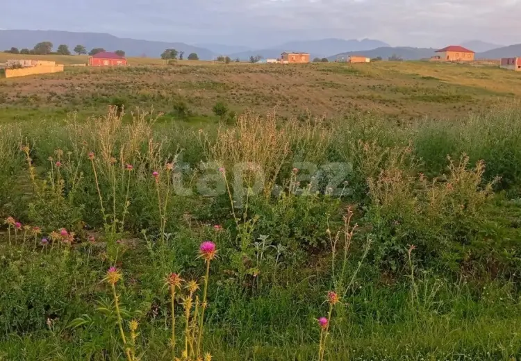 0 m² Obyekt / Ofis , Bakı